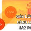 gán logo cho sản phẩm