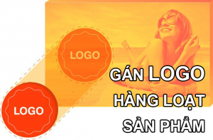 gán logo cho sản phẩm